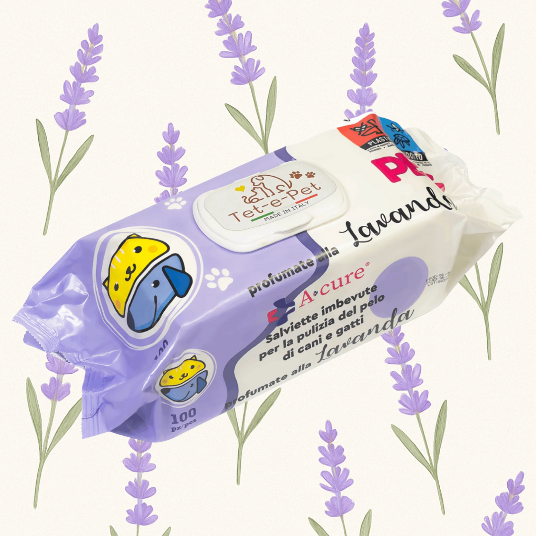 antibacterial wipes for dogs – Large 100 Pcs