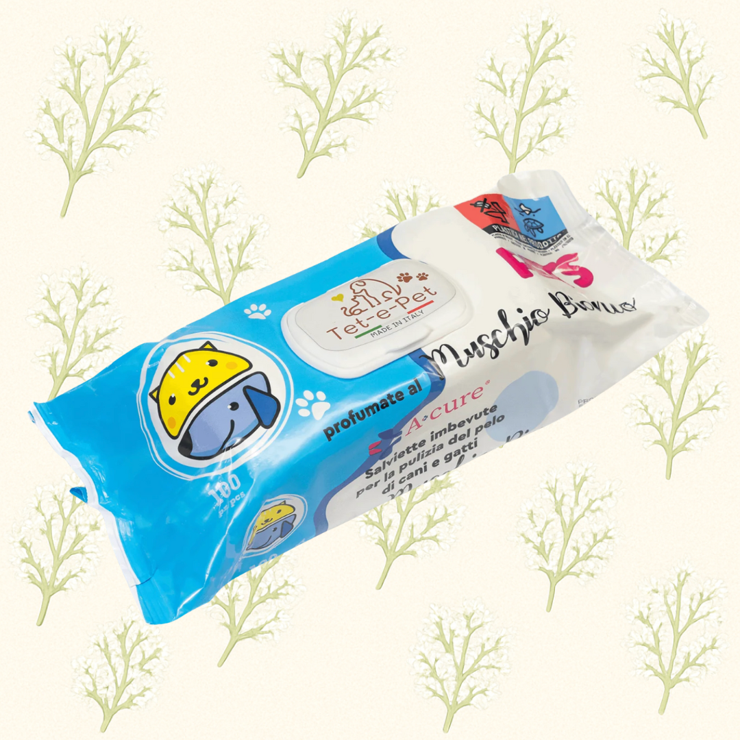 antibacterial wipes for dogs – Large 100 Pcs